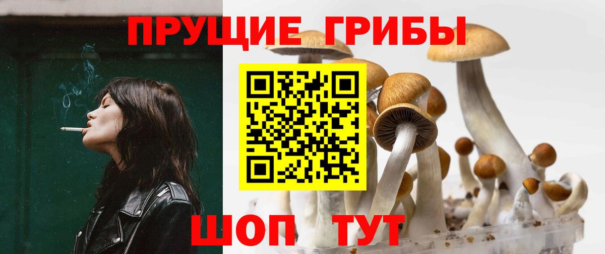 Псилоцибиновые грибы Magic Shrooms Электрогорск